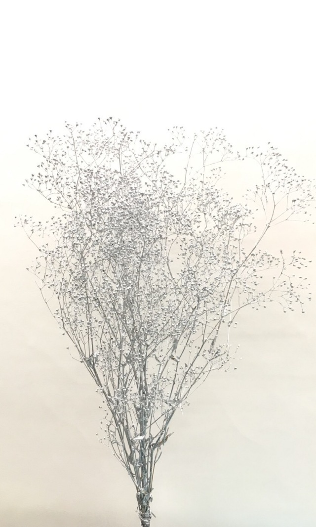 スーパーソフトミニカスミ草　シルバー　00020-912