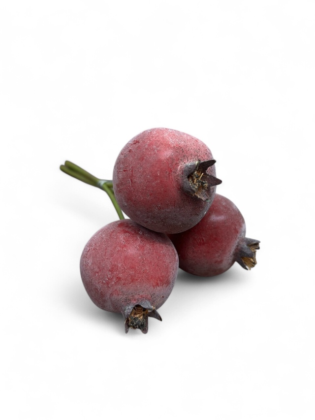 ザクロ　ステム付　レッド　FPB0006-OR