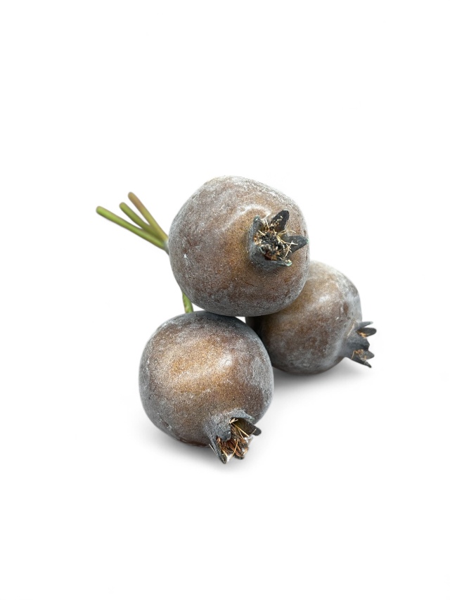 ザクロ　ステム付　ブラウン　FPB0006-BR