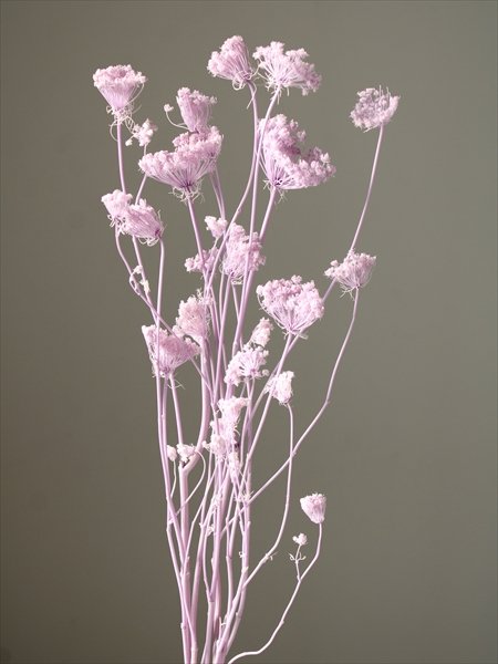 グリーンミスト　スウィートライラック　00330-451