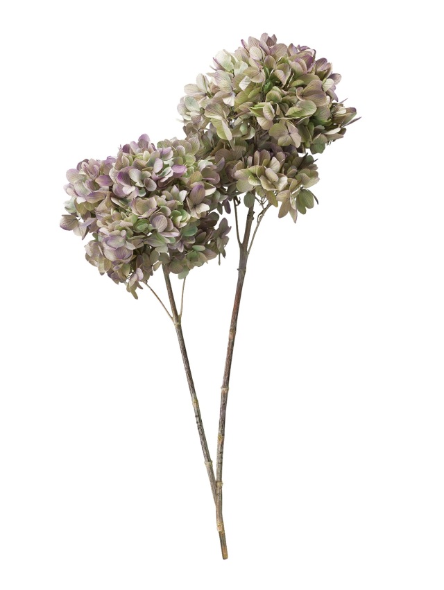 アジサイ・グランディフローラ・ステム付き　オレガノパープル　00830-471