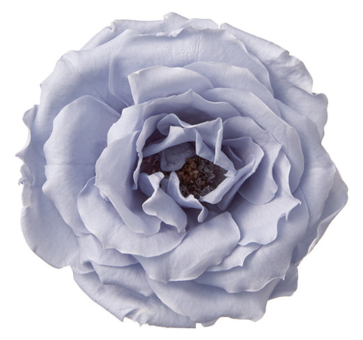 マジョリカ・サイズアソート　ダスティーブルー　　01030-631