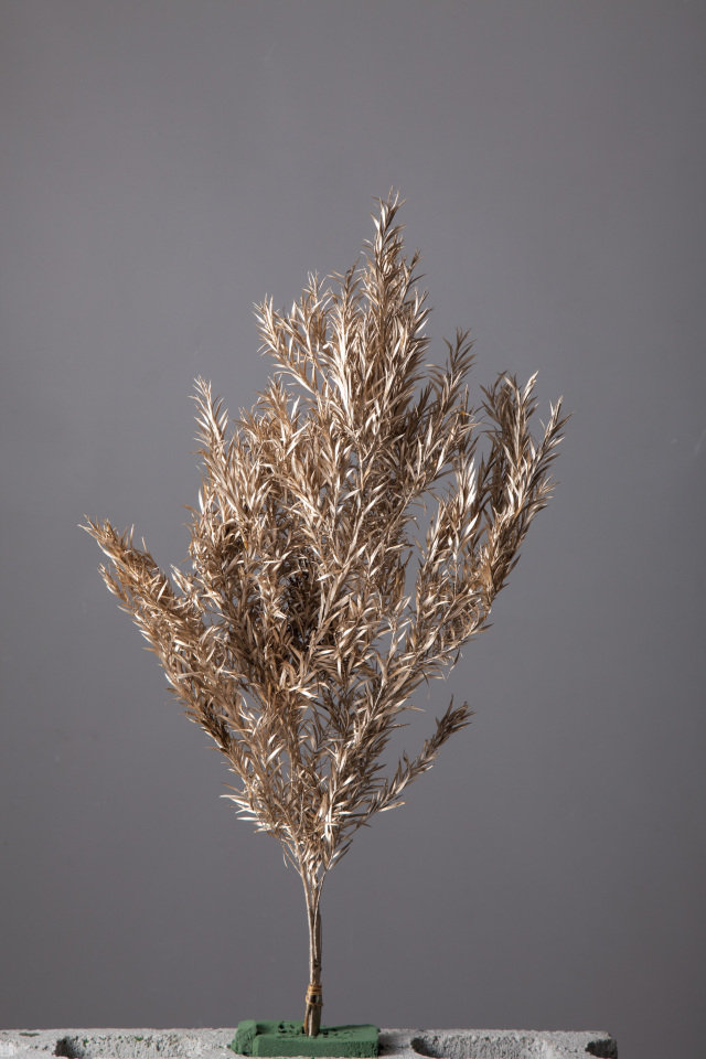 ティーツリー(メラルウカ)　プラチナ　01253-932