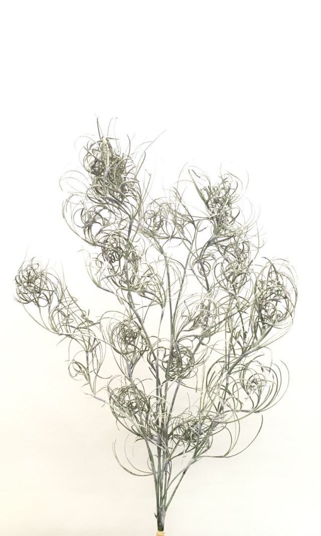 ゴアナクロー　ウォッシュホワイト　01330-012