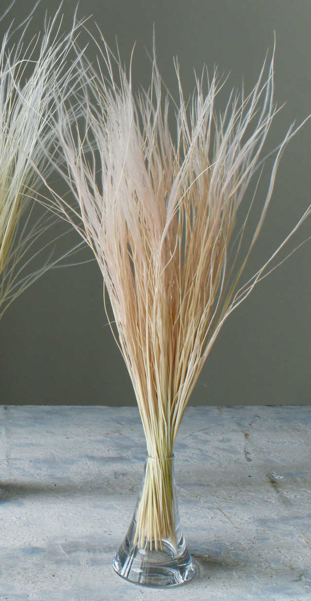 フェザーグラス　ピンク　01470-101 メーカー廃盤60％OFF