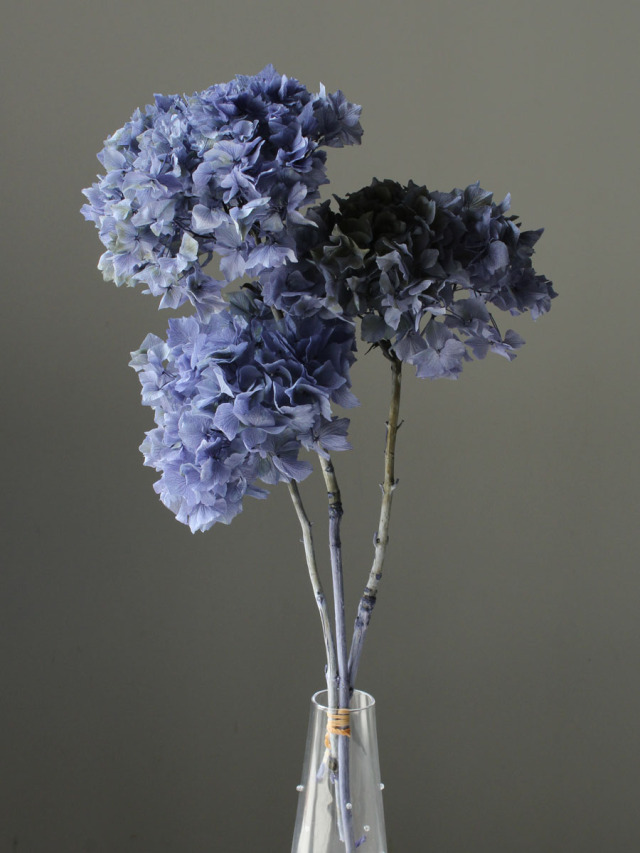 ロイヤルアジサイ・フレア　ステム付き　シックブルー　01495-641