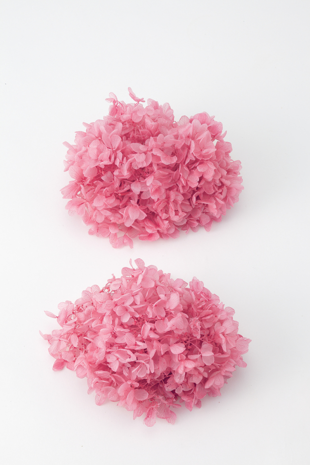 ピラミッドアジサイ・ヘッド　ストロベリー　01510-221　