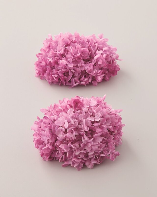 あじさい ドライフラワー卸売り販売のミルキーウェイ