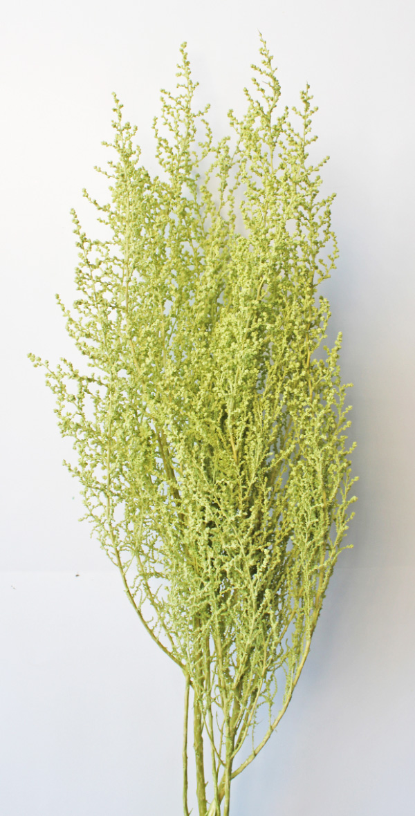 ストーベ　クリアグリ－ン　01760-701