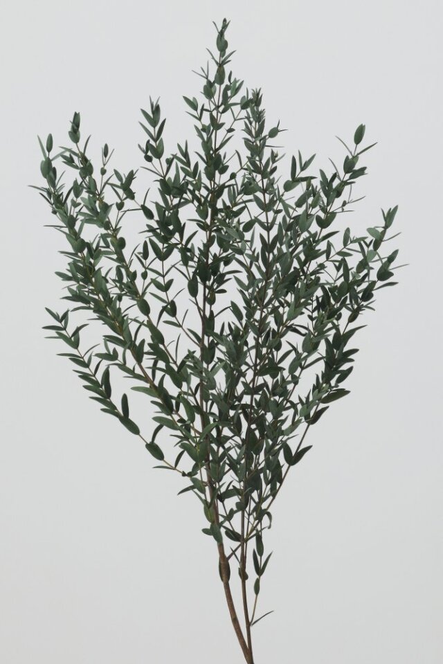 ソフト小葉ユーカリ　ミストグリーン　01790-770