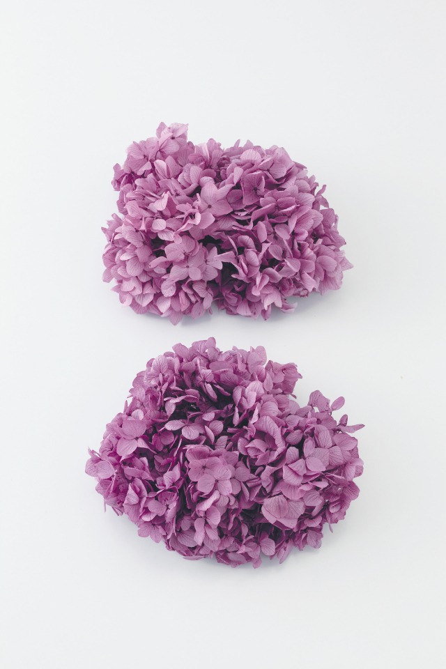 ゆめアジサイ・ヘッド　パープル　01900-401