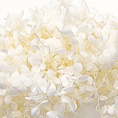 アナベル・ヘッド  オフホワイト　02160-011