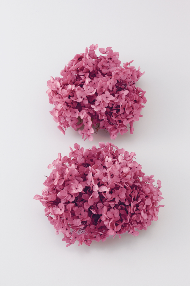 アナベル・ヘッド  カシスピンク　02160-281