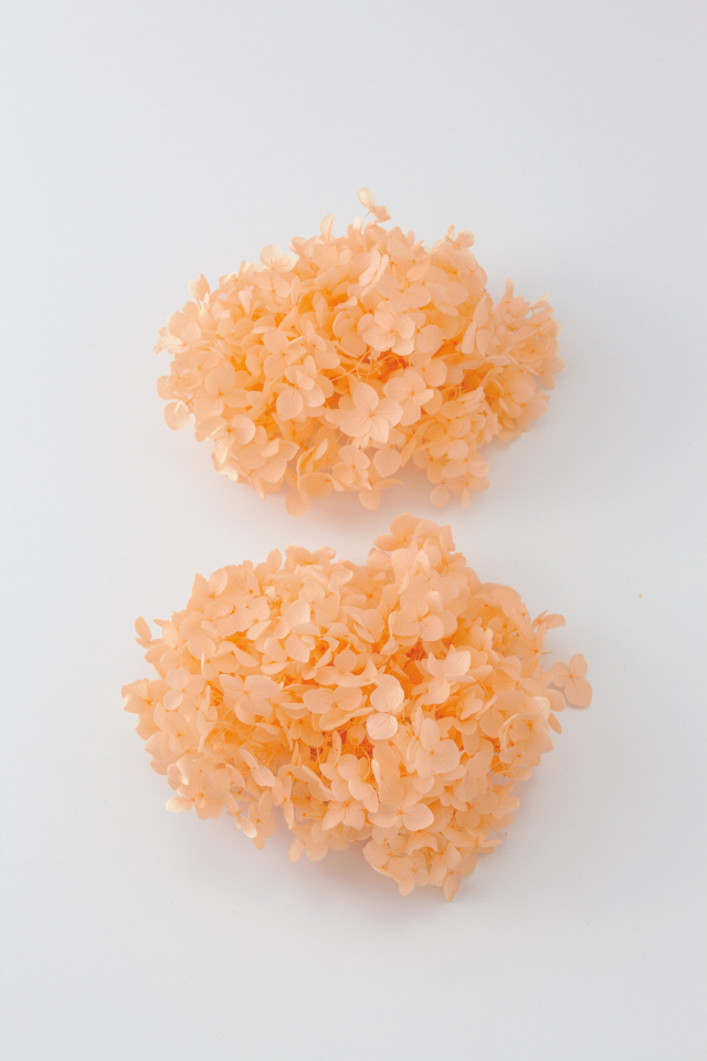 アナベル・ヘッド  ジュリアオレンジ　02160-361