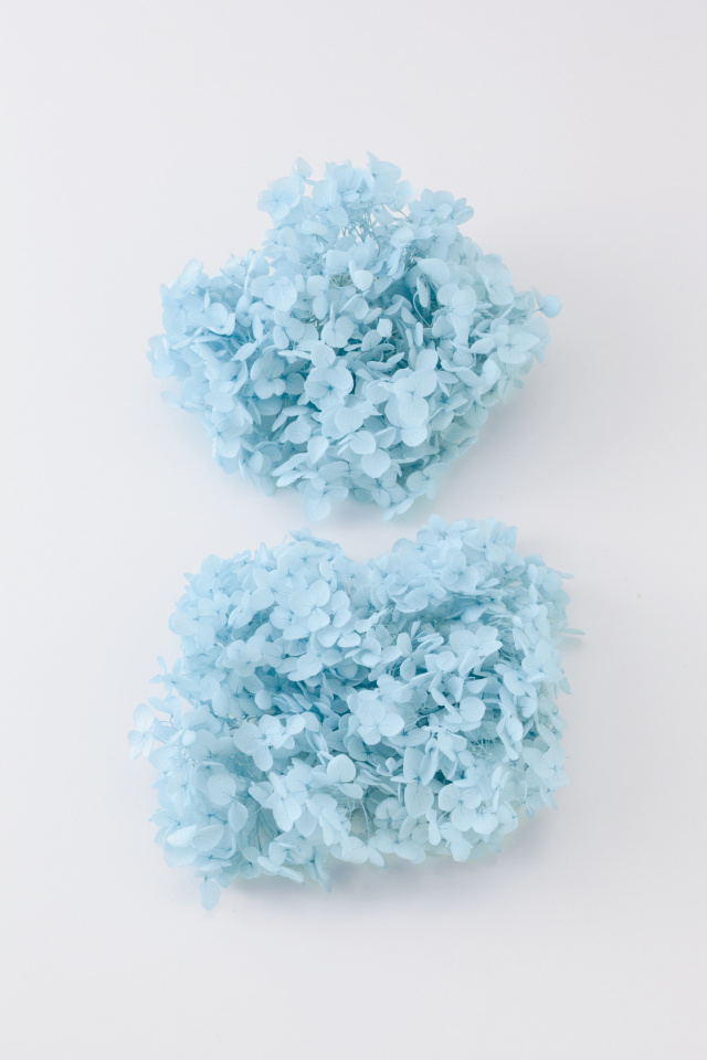 アナベル・ヘッド  ベビーブルー　02160-621