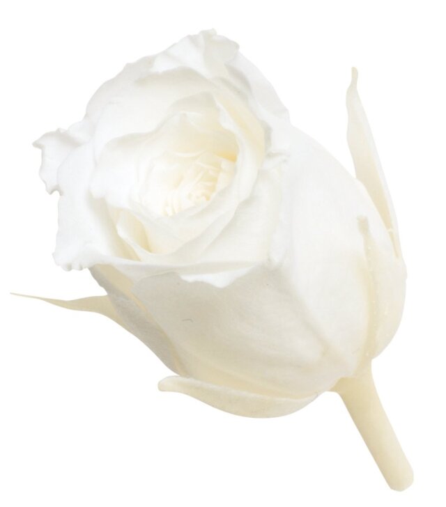 ビビアン・ミニセレクション　ピュアホワイト　02371-001