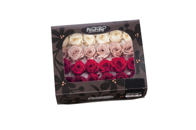 ビビアン・カラーアソート　レッドミックス　02374-310