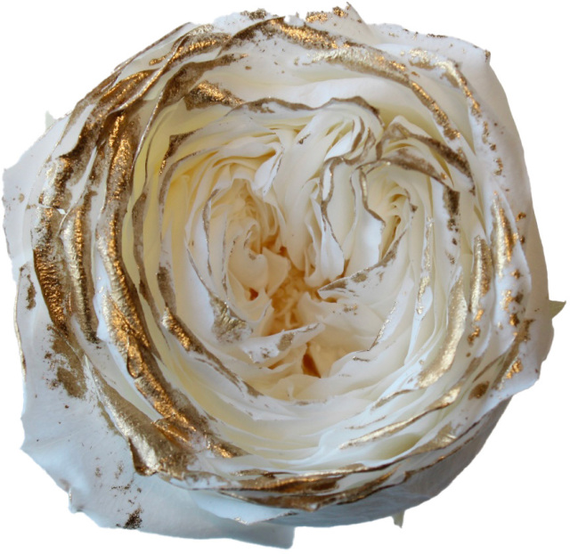 ローズ・てまり・リュクス　白　02468-019