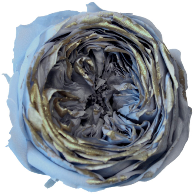 ローズ・てまり・リュクス　ダスティーブルー　02468-639