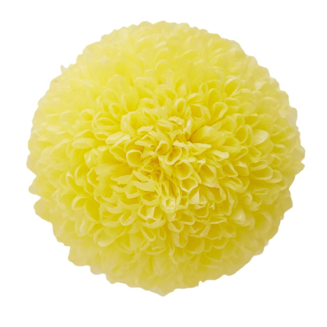 ポンポン菊・ミディー　　モーニングイエロー　02646-501