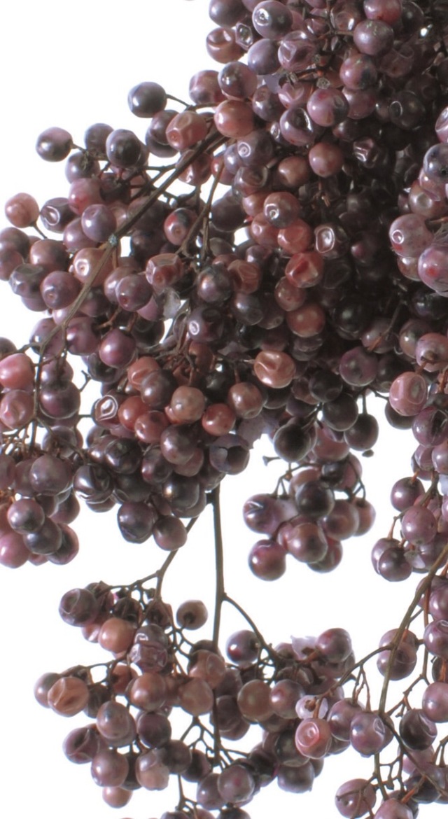 ペッパーベリー・プリザーブド　パープル　03380-400