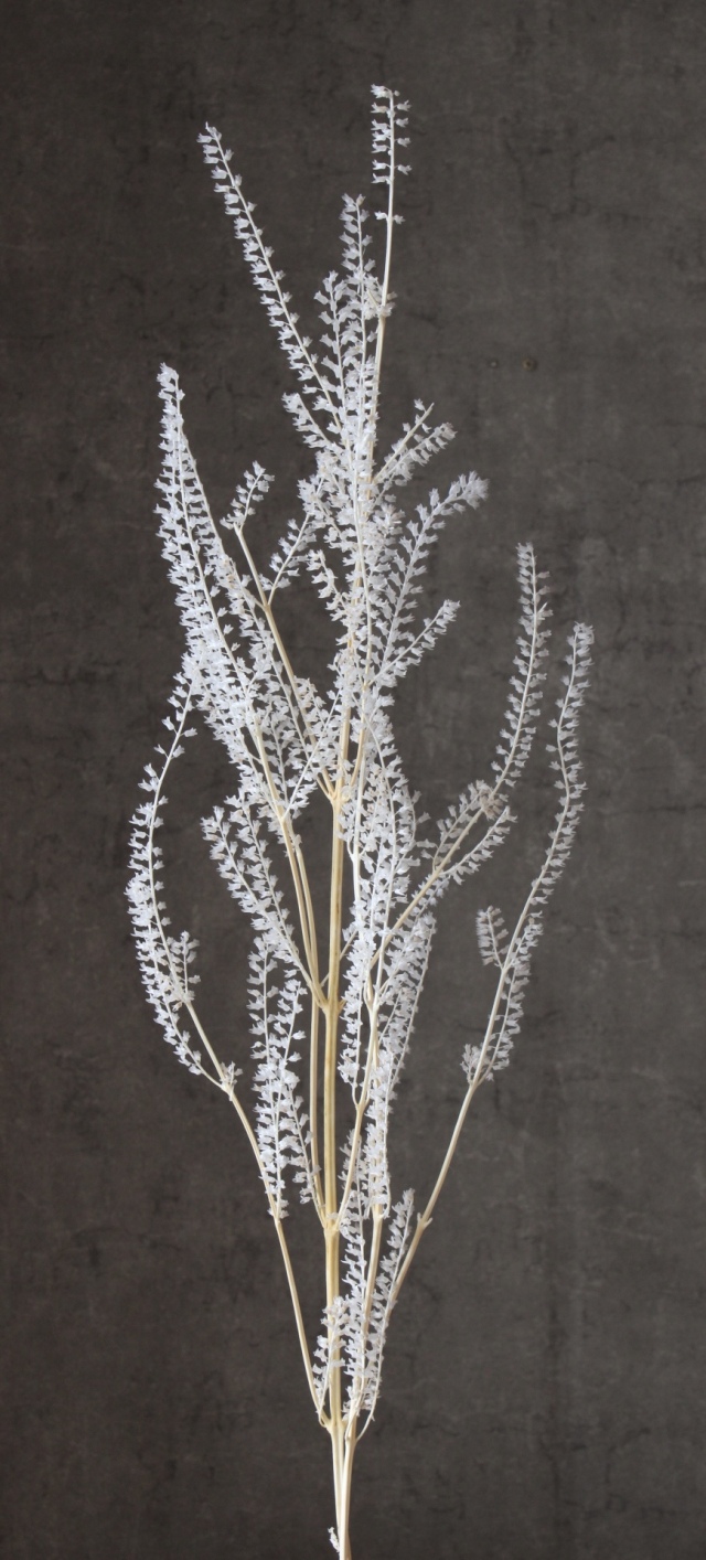 リトルベル　オフホワイト　03400-011