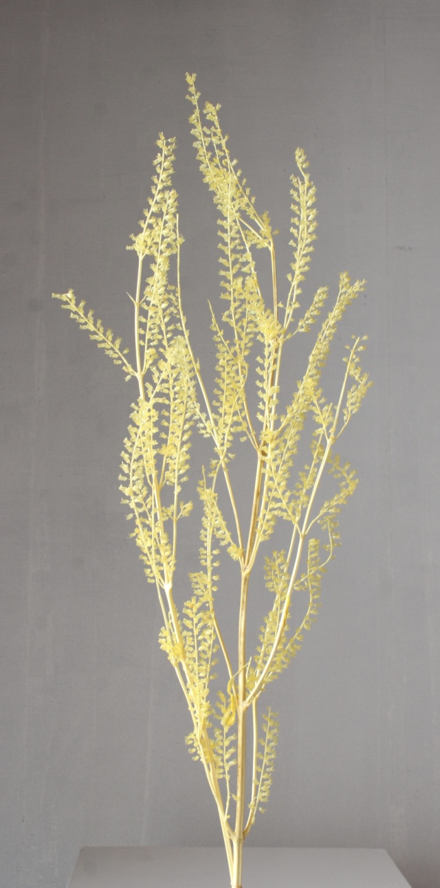 リトルベル　イエロー　03400-501