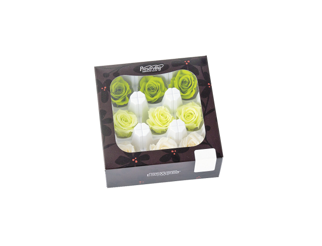 ローズ・いずみ・カラーアソート　グリーンミックス　03484-770