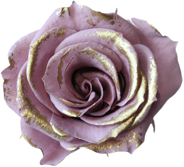 ローズ・いずみ・リュクス　グレイッシュパープル　03488-449