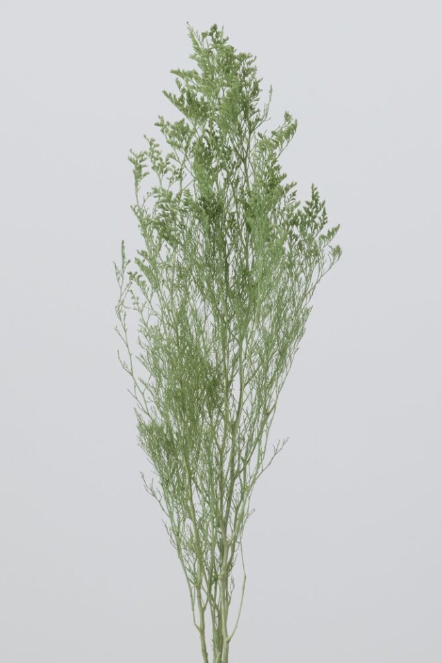 カスピア　ペールグリーン　03710-751