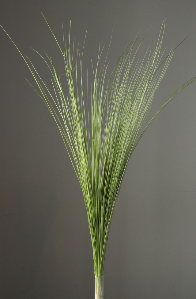 レインボーグラス　スプリンググリーン　03930-781