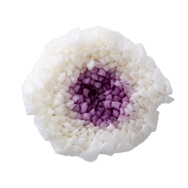 輪菊・小・ミルフィーユ　ホワイトパープル　04183-014