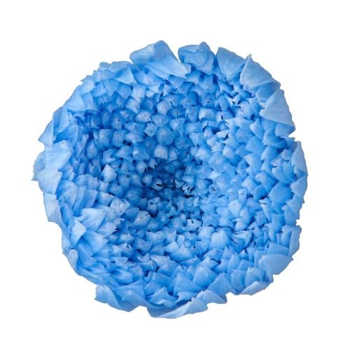 輪菊・小　ブルー　04803-600