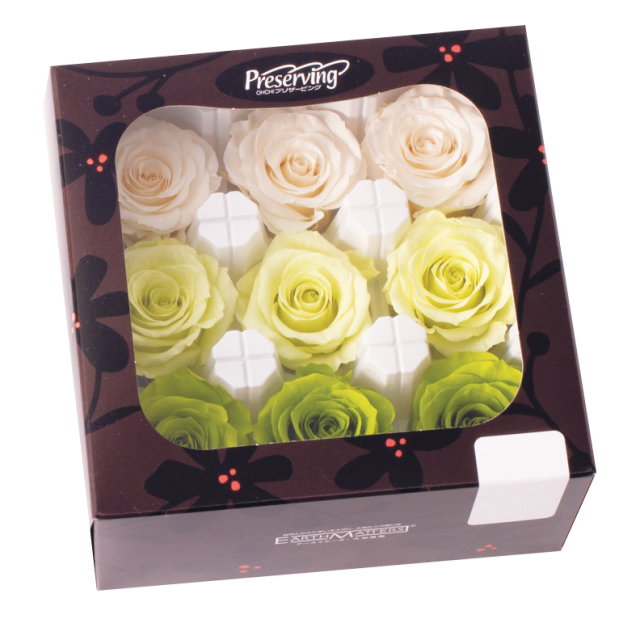 ローズ・かのん・M・カラーアソート　グリーンミックス　05207-770-1　特別割引60％OFF