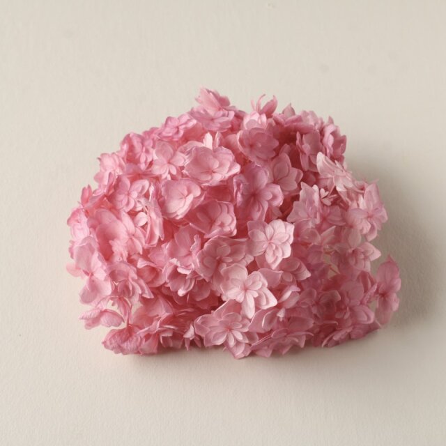 アジサイ・ルナ　ピンクローズ　05370-122　※カタログ掲載外