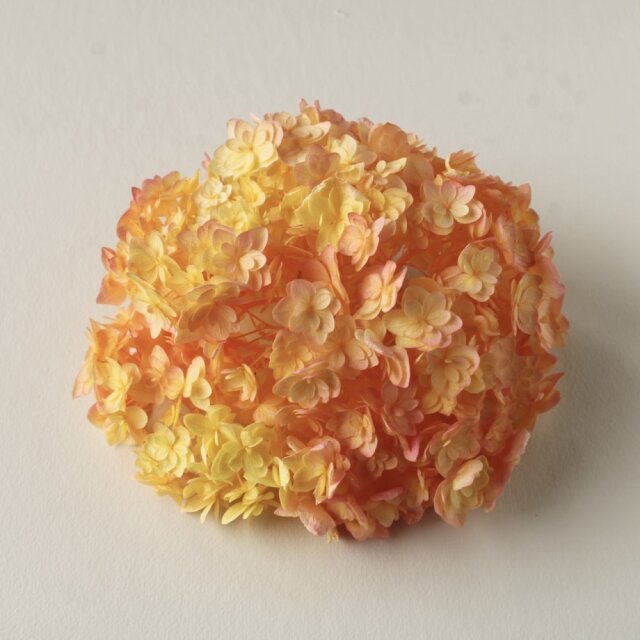 アジサイ・ルナ　イエローロゼ　05370-520　※カタログ掲載外