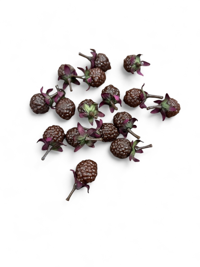 ラズベリー　MW10030