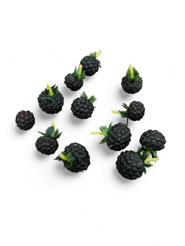 ミニラズベリー　ブラック　MW10031　