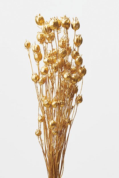 フーセンポピー　ゴールド　10060-902