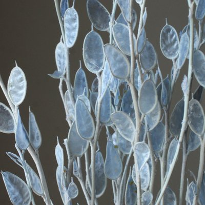 ミニルナリア　オフホワイト　10170-601　※お一人様1回のお買物で2束まで