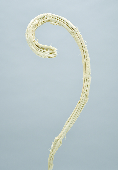 バナナ・スティック　サラシ　10346