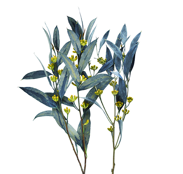 ユーカリ実付き　ブラック　10368