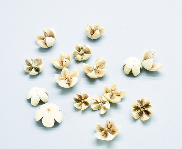 ワラッチポッド　サラシ　10404