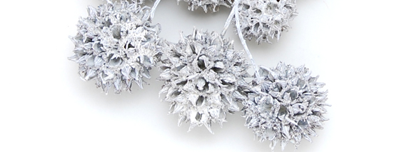 アンバーバウム　グレイッシュ