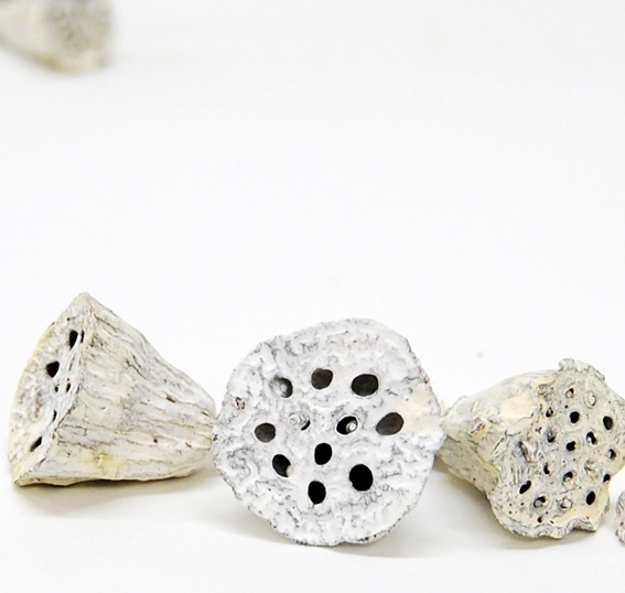 ハスヘッド・小 　グレイッシュ