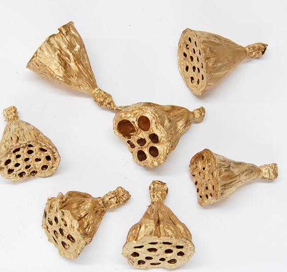 ハスヘッド・小　ゴールド