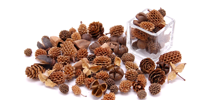 ミニコーンアソート　　ナチュラル