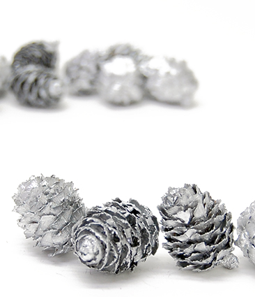 カラマツ　シルバー