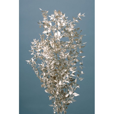 ラスカス・プラチナ　10690-932