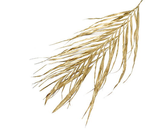 アレカヤシ・小　ゴールド　10746